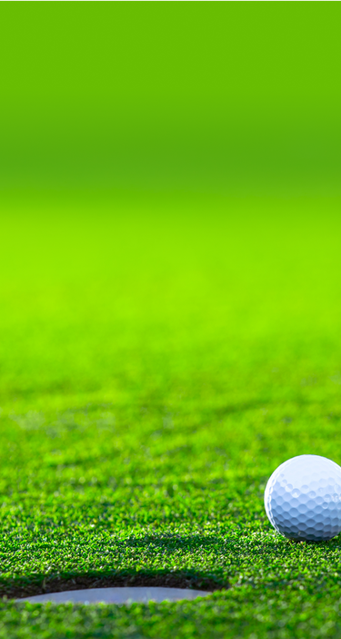 Golf ball sitting on putting green near hole