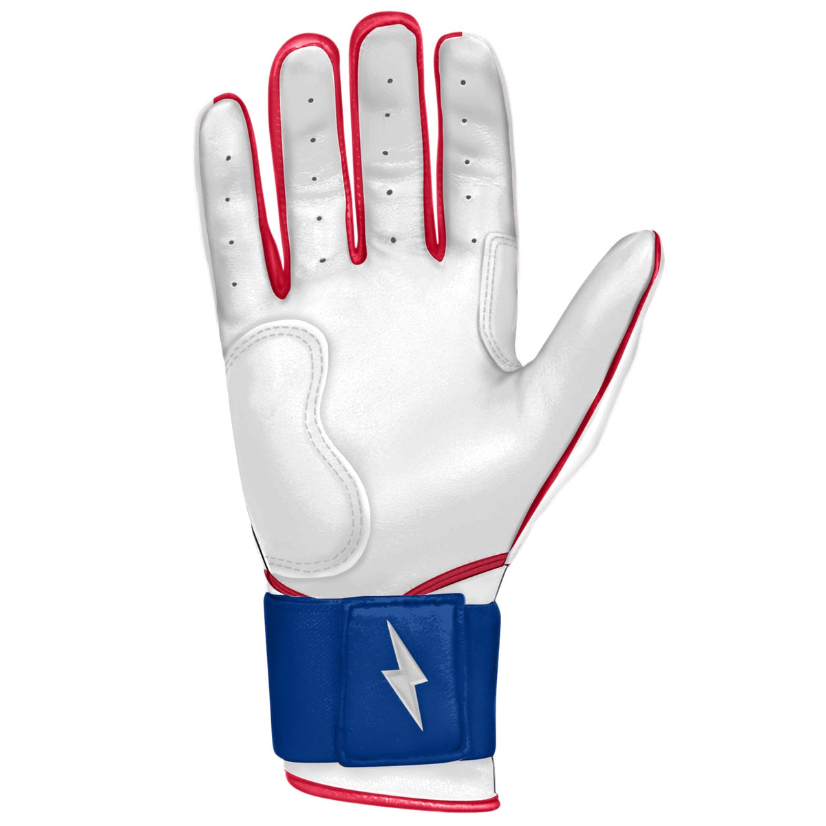 Team Issued Batting Gloves - Bruce Bolt - 2022 Season