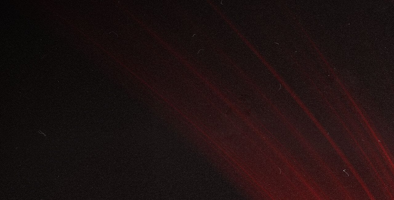 BRUCIE'S Mystery Glove Sale